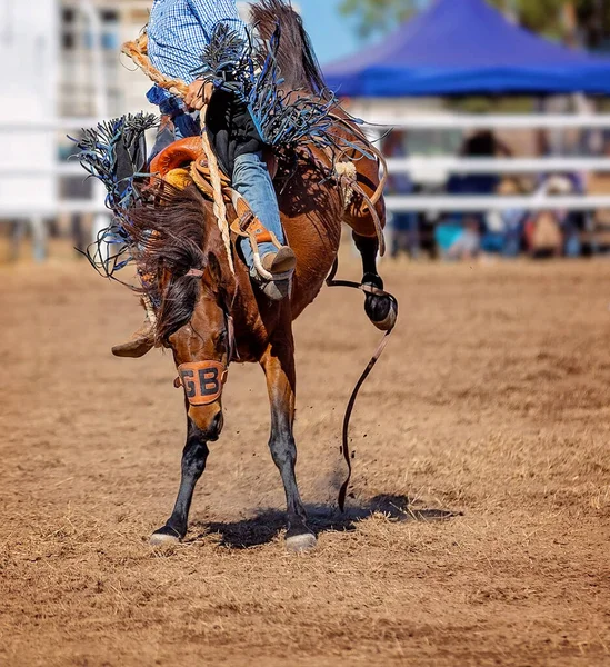 Cowboy Rider Bucking Bronc Häst Land Rodeo — Stockfoto
