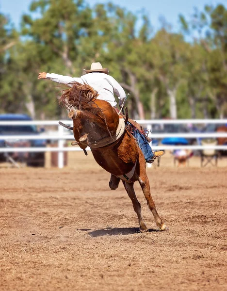 Kowboj Jeździ Brykającym Brązowym Koniem Wiejskim Rodeo — Zdjęcie stockowe