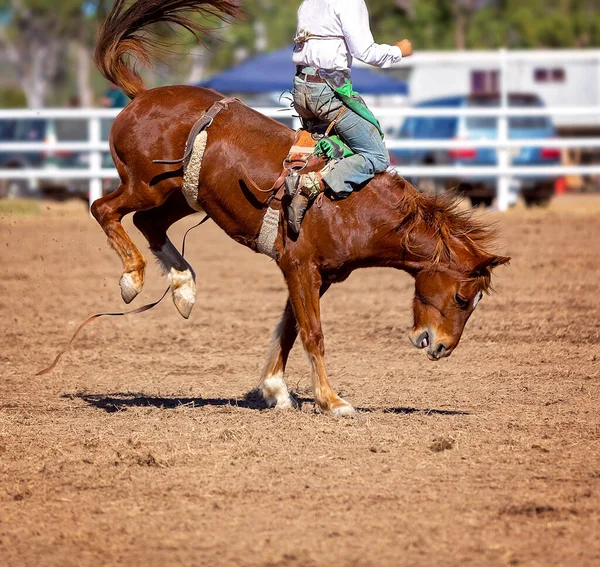 Cowboy Concurreren Zadel Bronc Evenement Een Land Rodeo — Stockfoto