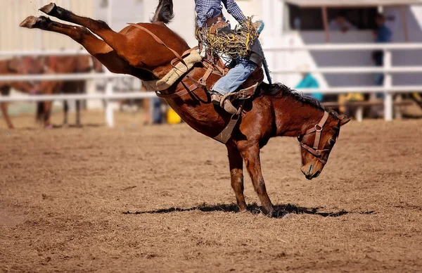 Cowboy Tävlar Sadel Bronc Händelse Ett Land Rodeo — Stockfoto