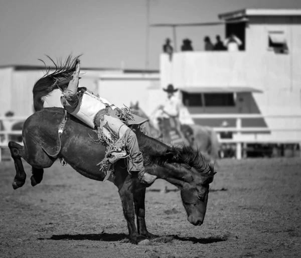 Kowboj Rywalizujący Siodle Bronc Event Rodeo Country — Zdjęcie stockowe