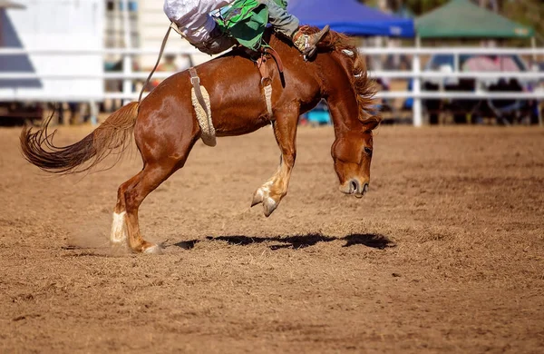 Cowboy Tävlar Sadel Bronc Händelse Ett Land Rodeo — Stockfoto