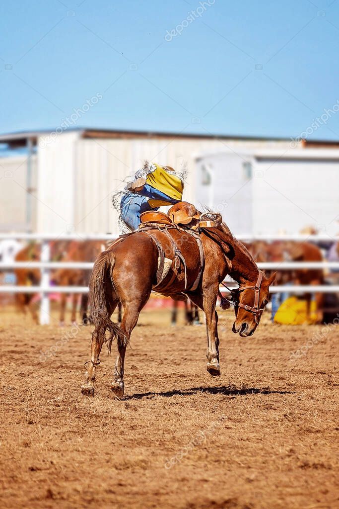 Cowboy gets bucked off bronc in a country rodeo event