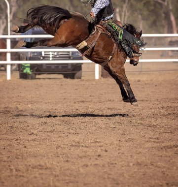 Kovboy bir rodeo müsabakasında at biniyor.