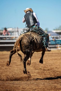 Bir kovboy bir rodeoda boğa biniciliği yarışında yarışıyor.