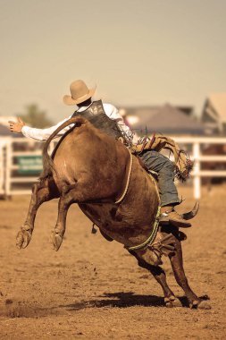 Avustralya rodeosunda boğaya binen bir kovboy.