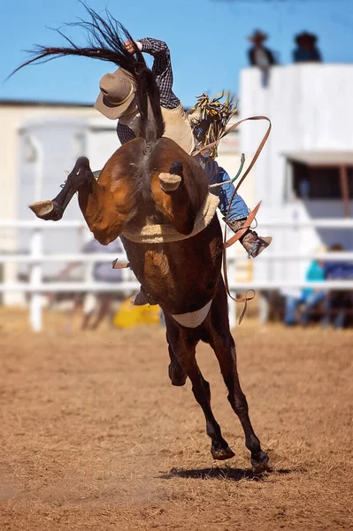 Cowboy Rides Bucking Bronc Horse Country Rodeo Event — Stock Photo, Image