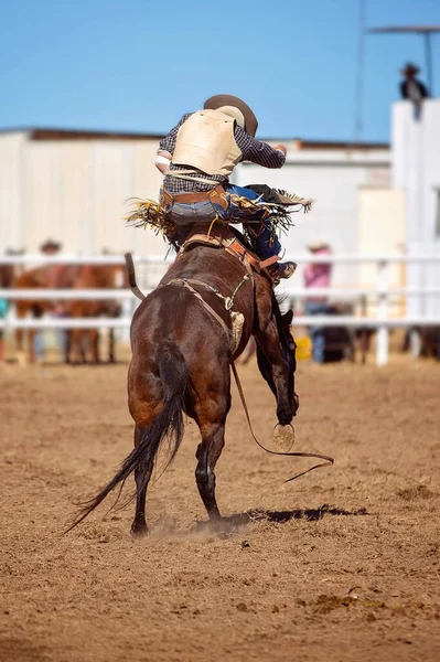 Cowboy Monta Cavalo Bronco Bucking Evento Rodeio País — Fotografia de Stock