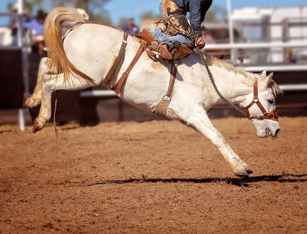 Cowboy Monte Cheval Bronc Bucking Dans Événement Rodéo Pays — Photo