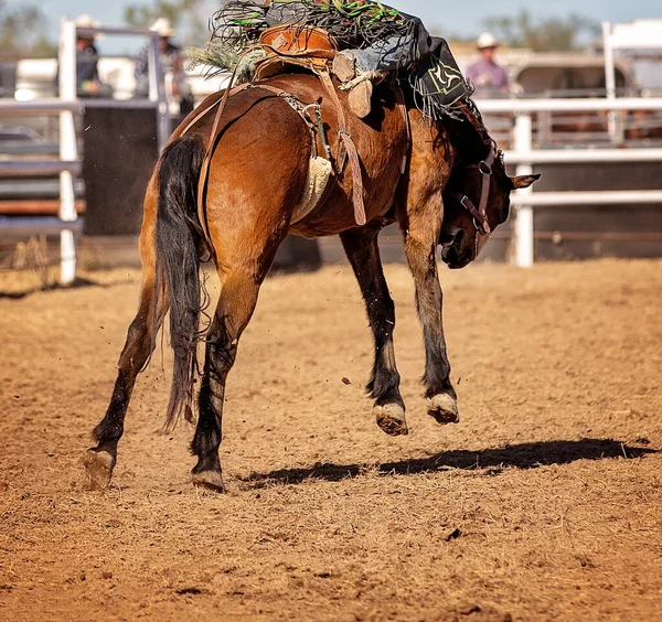 Cowboy Rider Bucking Bronc Häst Ett Land Rodeo Händelse — Stockfoto