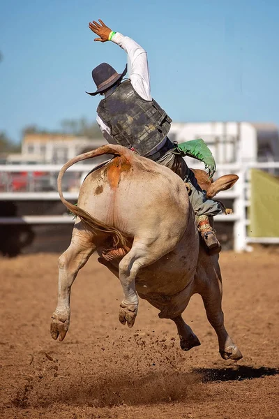 Cowboy Che Gareggia Nella Competizione Cavalcate Rodeo Campagna — Foto Stock