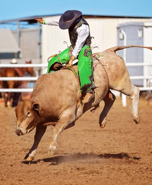 カントリーロデオでの牛の乗馬競技会に出場するカウボーイ — ストック写真