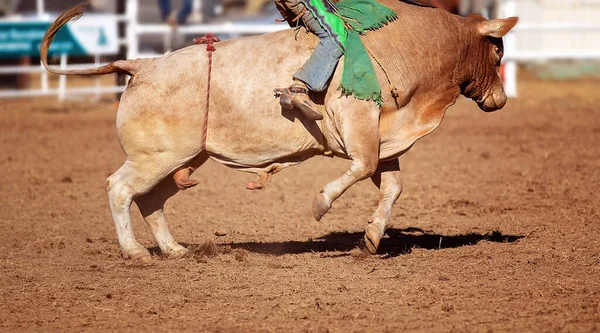 Een Cowboy Concurreren Stier Rijden Concurrentie Een Land Rodeo — Stockfoto