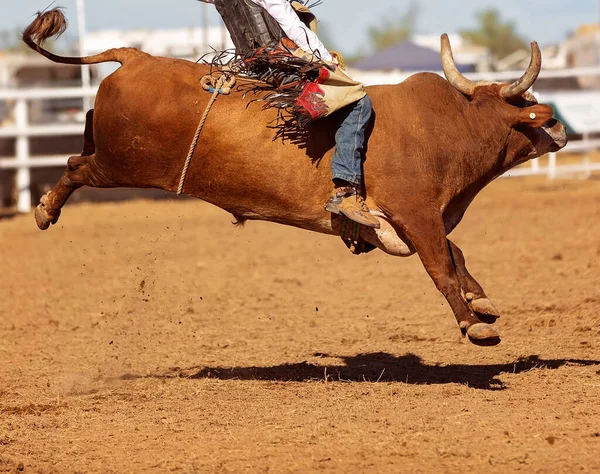 Avustralya rodeosunda boğaya binen bir kovboy.