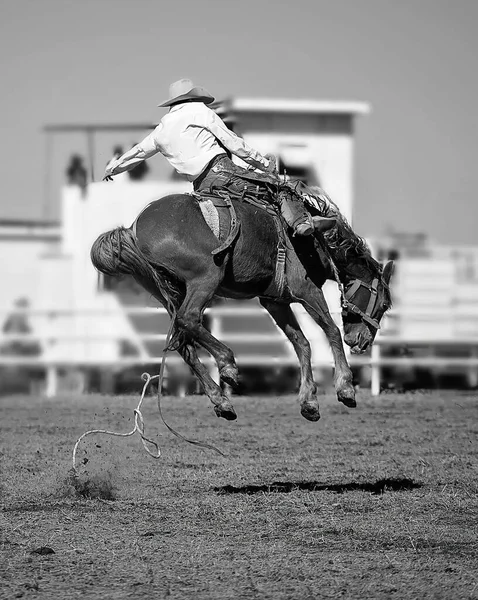 Cowboy Montando Cavalo Bronco Bucking Rodeio País Australiano — Fotografia de Stock