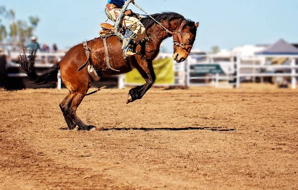 Kowboj Jeżdżący Bucking Bronco Horse Australijskim Rodeo Country — Zdjęcie stockowe