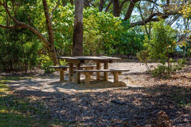 Güzel bir çalılıkta piknik masası ve sandalyeler.