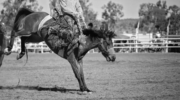 Kovboy Bir Rodeoda Eyerli Yarışında Yarışıyor — Stok fotoğraf