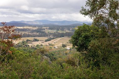 Ağaçlar, tropikal yağmur ormanları içinde dağların arasındaki bir vadideki kırsal mandıra çiftliklerini çerçeveliyor.