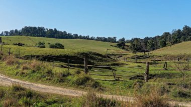 Eungella Milli Parkı 'ndaki tepelik otlakları olan Avustralya mandırasının çitli bahçeleri.
