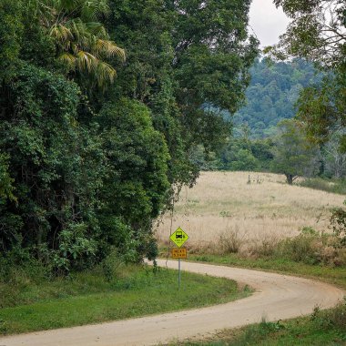 Tropikal yağmur ormanları arasındaki dolambaçlı toprak yolda okul otobüsü yolu tabelası.