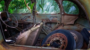 Eski terk edilmiş bir arabanın içinde büyüyen sarmaşıklar ıskartaya çıkarılmış lastiklerle dolu hepsi çalılıklarda paslanmaya bırakılmış.