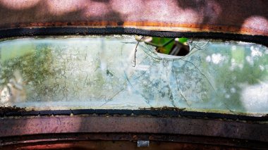 Eski paslı bir arabanın kırık dikiz penceresi çalıların arasında terk edilmiş.