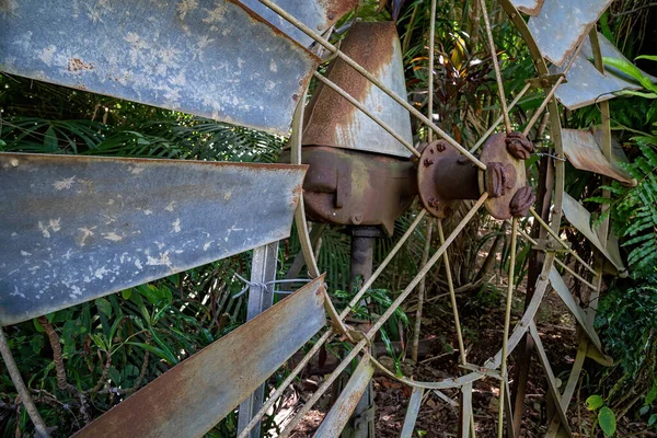 Egy Régi Szélmalom Közelsége Bokorban — Stock Fotó