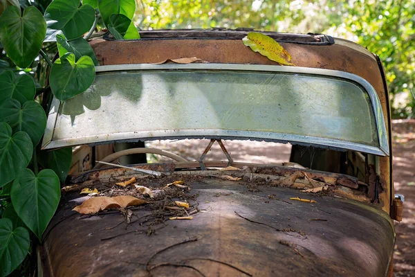 Parabrisas Viejo Coche Oxidado Abandonado Arbusto Con Vides Que Ahora — Foto de Stock