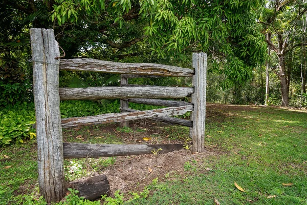 Старый Деревянный Забор Который Частью Загона Скота Стоящего Кустах — стоковое фото