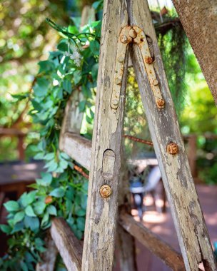 Bahçede dekoratif bir element olarak kullanılan eski bir merdiven.