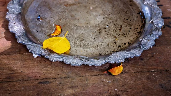Старая Металлическая Тарелка Наполненная Водой Листьями Сидящая Грязной Деревянной Скамейке — стоковое фото
