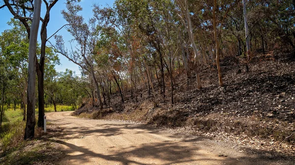 Kontrolowane Spalanie Krzewów Celu Zmniejszenia Zagrożenia Pożarem Krzewów — Zdjęcie stockowe
