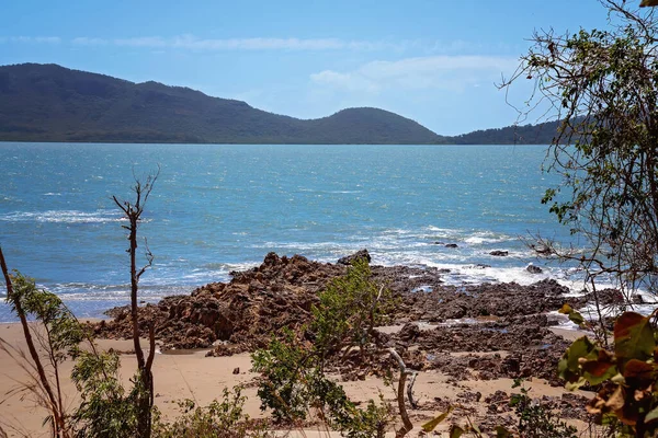 透过树木望着海滩风景 波浪冲刷着岩石海岸 — 图库照片