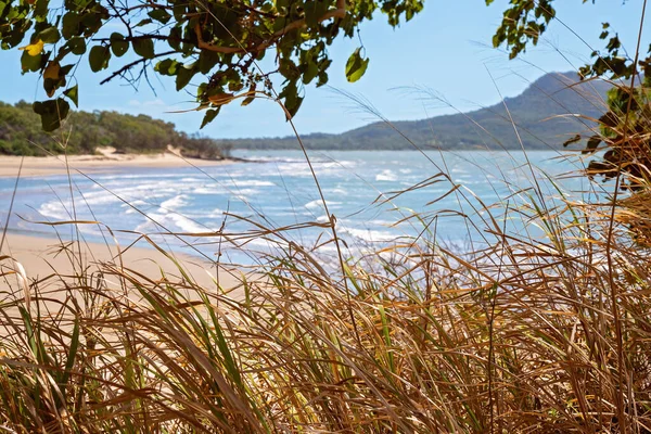 Kijkend Door Wuivend Gras Naar Een Strandlandschap Met Golven Die — Stockfoto