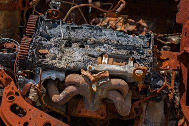 Bir araba enkazı paslanmış hurda yığını çalılıklarda terk edilmiş ve parçalarının çoğu kayıp.