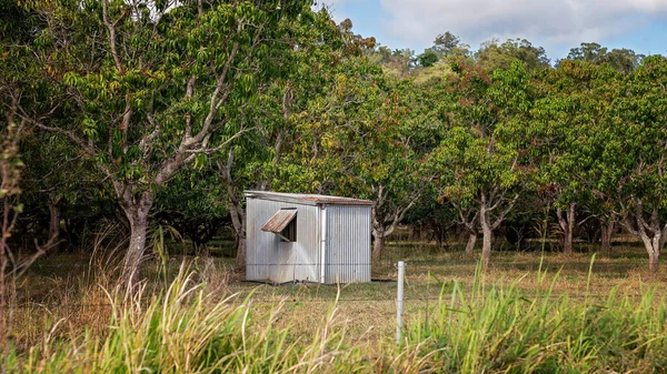 Pequeña Bomba Rural Vertida Una Plantación Árboles Frutales — Foto de Stock