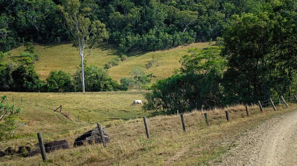 Bete Hage Kuperad Landsbygd — Stockfoto