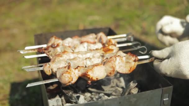 Şişte domuz eti parçaları mangal kömüründe kızartılıyor. Eller şişi çevirir ve eti karıştırır. Doğada yemek pişirmek. — Stok video