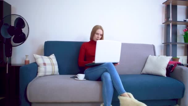 En ung flicka i en röd tröja som sitter på en soffa dricker kaffe från en vit kopp och arbetar på en bärbar dator. — Stockvideo