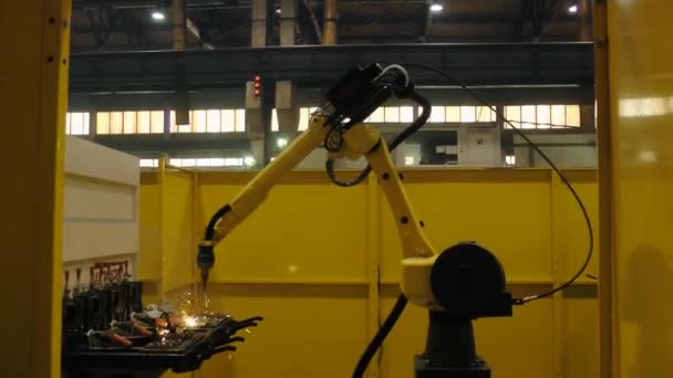 La saldatura robotica esegue il lavoro di programma nell'impresa senza intervento umano . — Video Stock