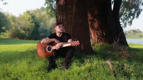 Ein Mann mit einer Gitarre sitzt im Gras neben einem Baum und beobachtet den Sonnenuntergang. — Stockvideo