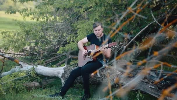 Um guitarrista se senta em uma árvore quebrada e toca uma guitarra acústica . — Vídeo de Stock