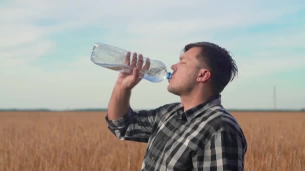 Un agricultor se para en un campo de trigo y bebe lentamente agua de una botella. — Vídeos de Stock