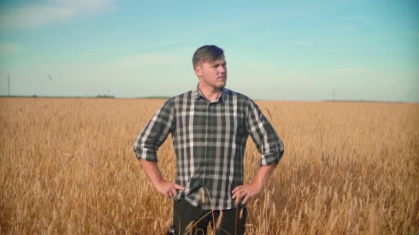 Πορτρέτο ενός αρσενικού αγρότη που στέκεται σε ένα χωράφι με σιτάρι και κοιτάζει γύρω του. — Αρχείο Βίντεο