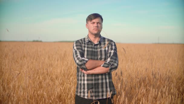 Portret van een mannelijke boer die in een veld met tarwe staat en droog gras in zijn mond houdt. — Stockvideo