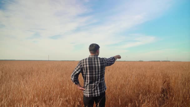 Farmář stojí zády na poli s pšenicí a pomalu pohybuje rukou, aby ukázal svou zemi. — Stock video
