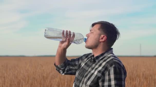 Farmář stojí na poli pšenice a pomalu pije vodu z láhve. — Stock video