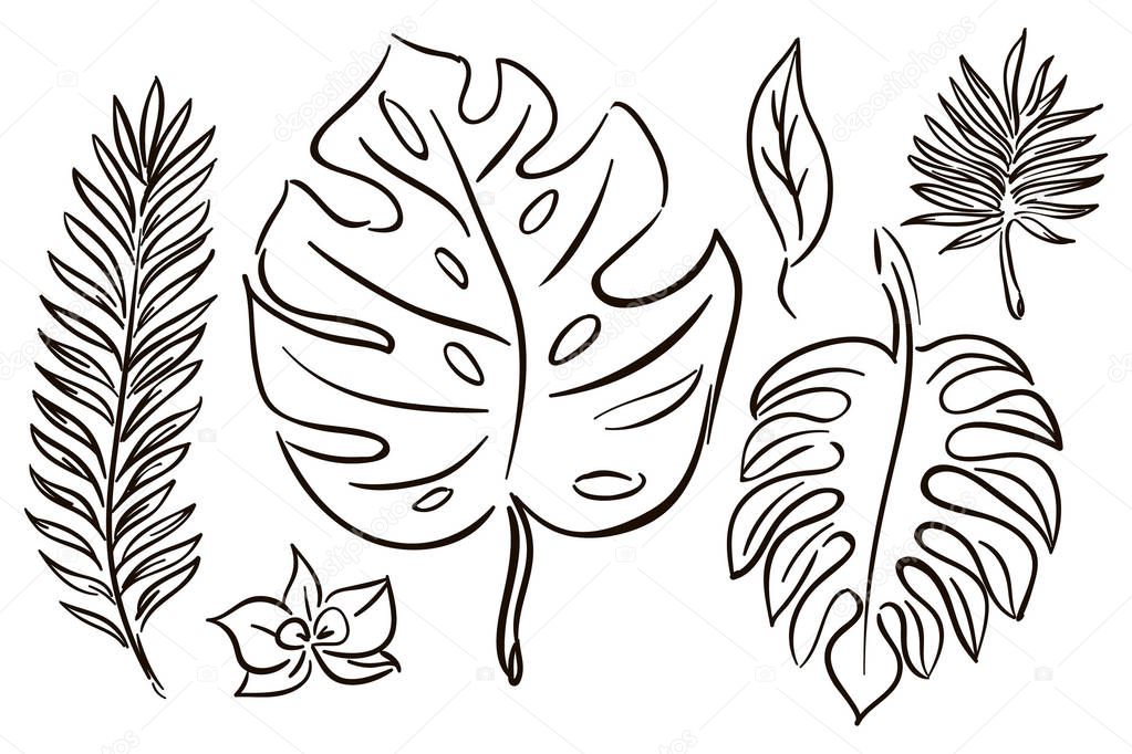 Tropical leaf outline | Set Tropical Leaves Outline Hand Drawing