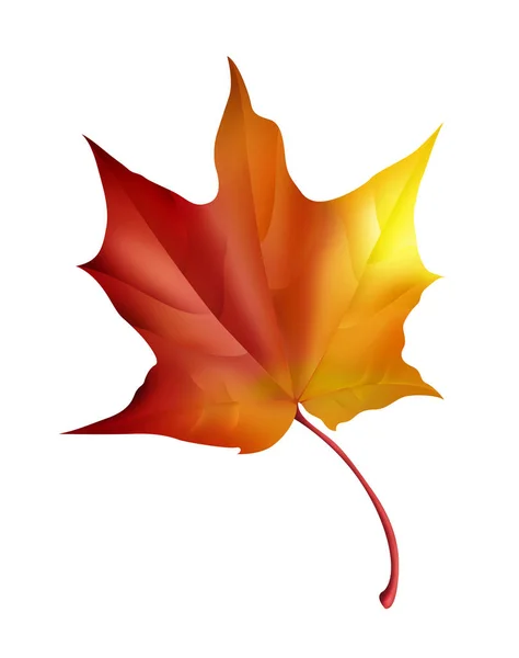 Autumn Maple Leaf Illustration — Stock Photo, Image